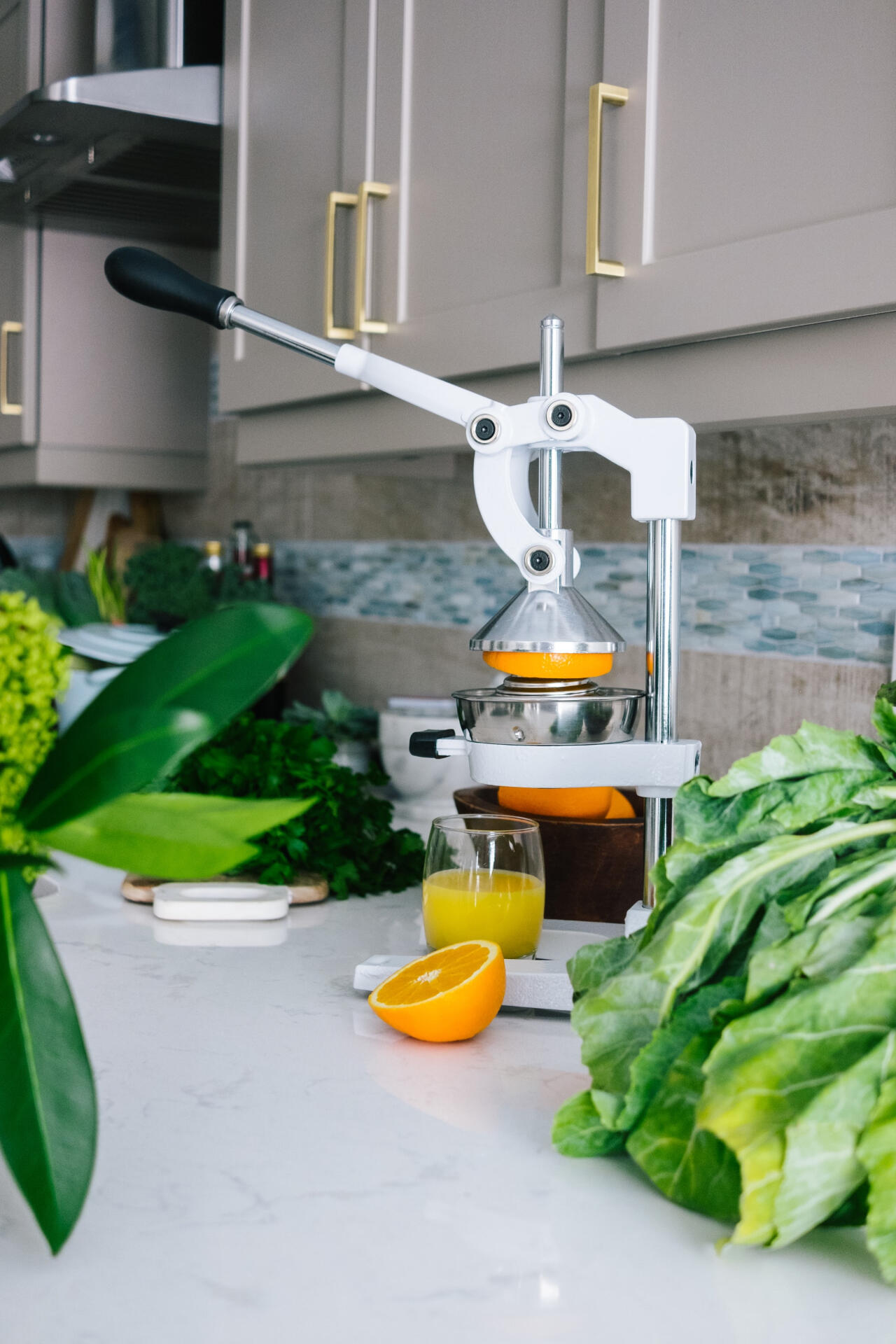 Kitchen counter juicer